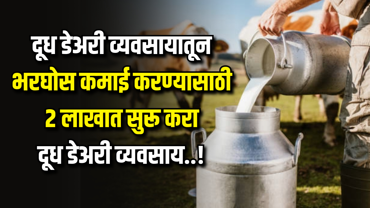 दोन लाखात सुरू करा दूध डेअरी व्यवसाय Dairy Farming 2024 0367